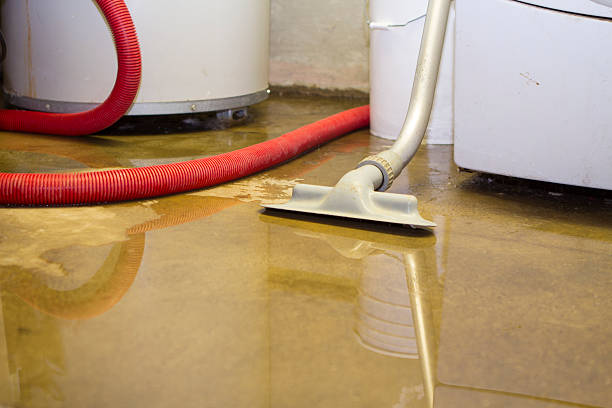 Best Water damage restoration specialists  in USA